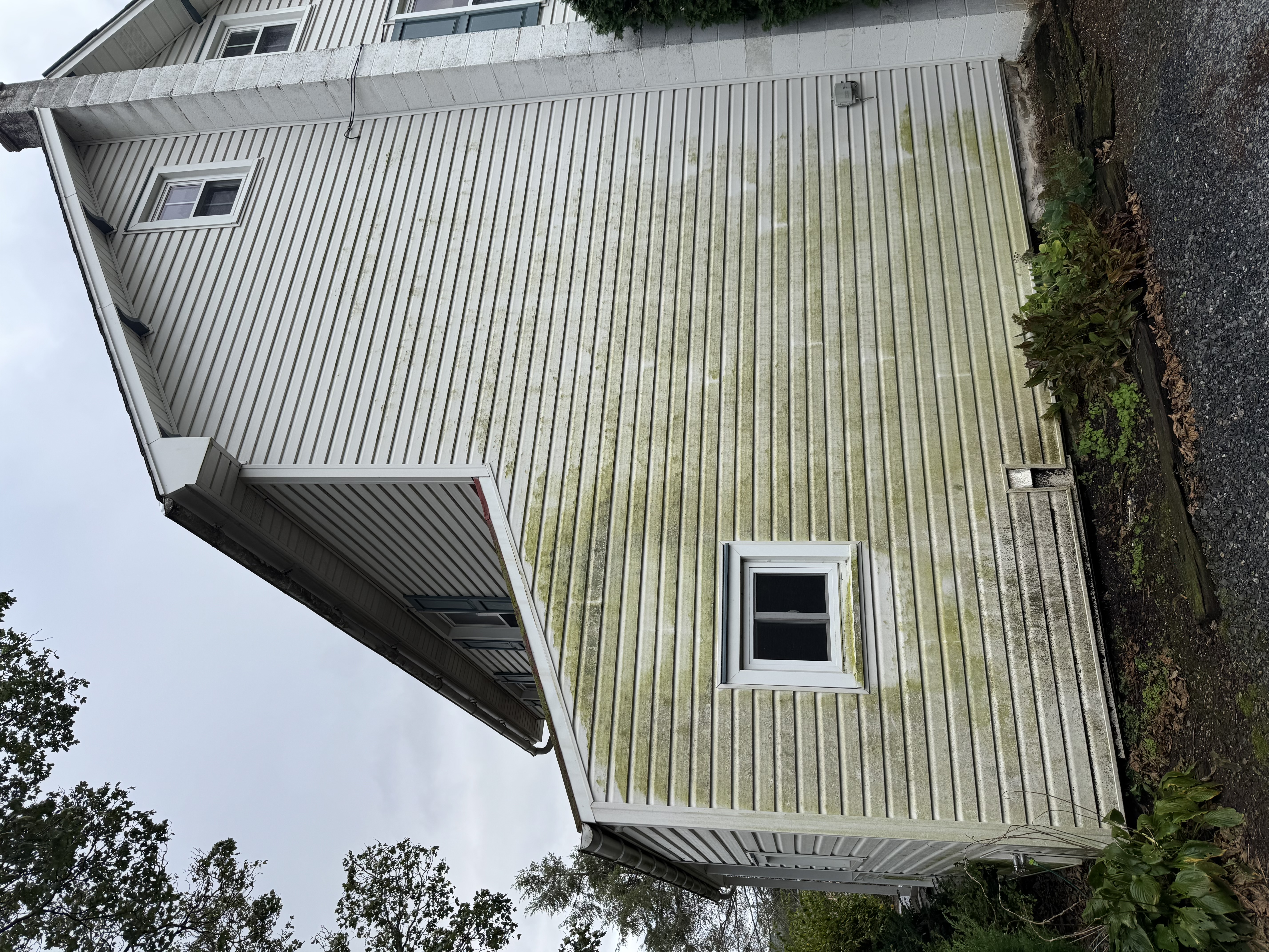 Before: Dirty siding with mold, algae, and years of buildup