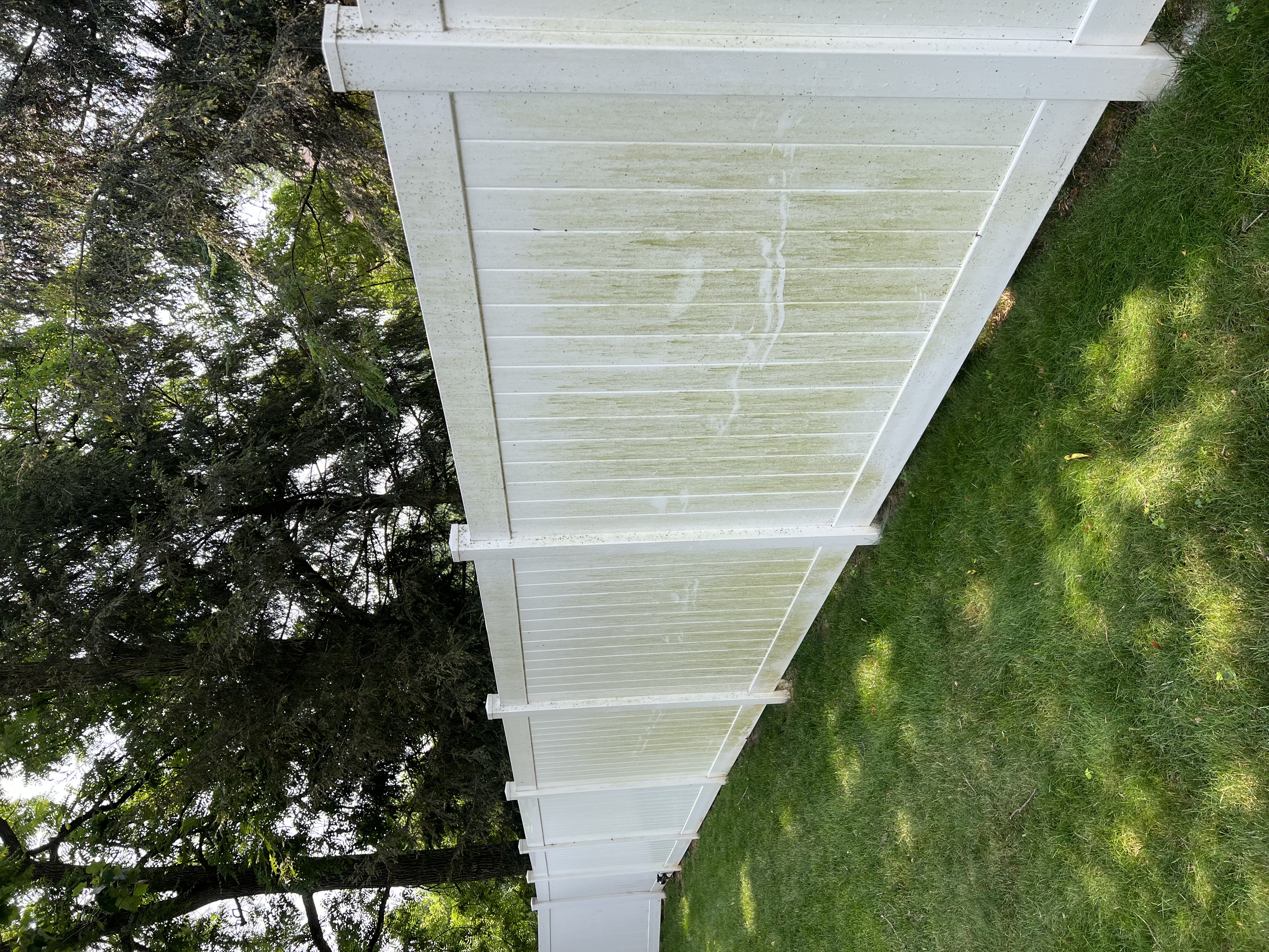 Fence Before Cleaning